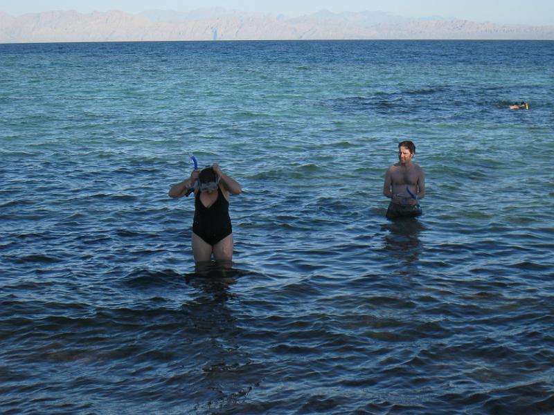 Dahab selectie 2010_01_08 15h12m.jpg - Eel Garden